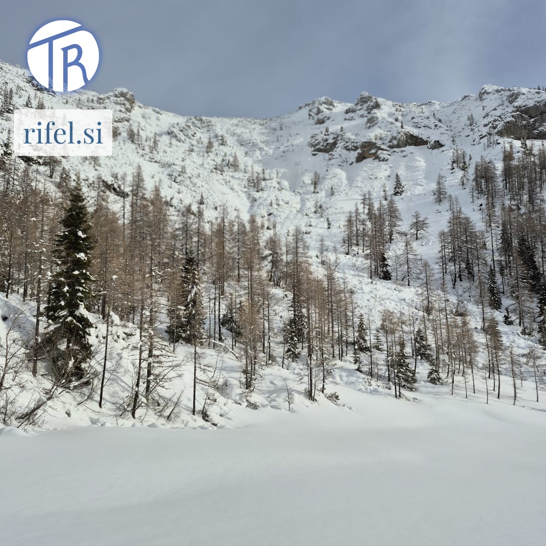 V snovanju duhovne domovine